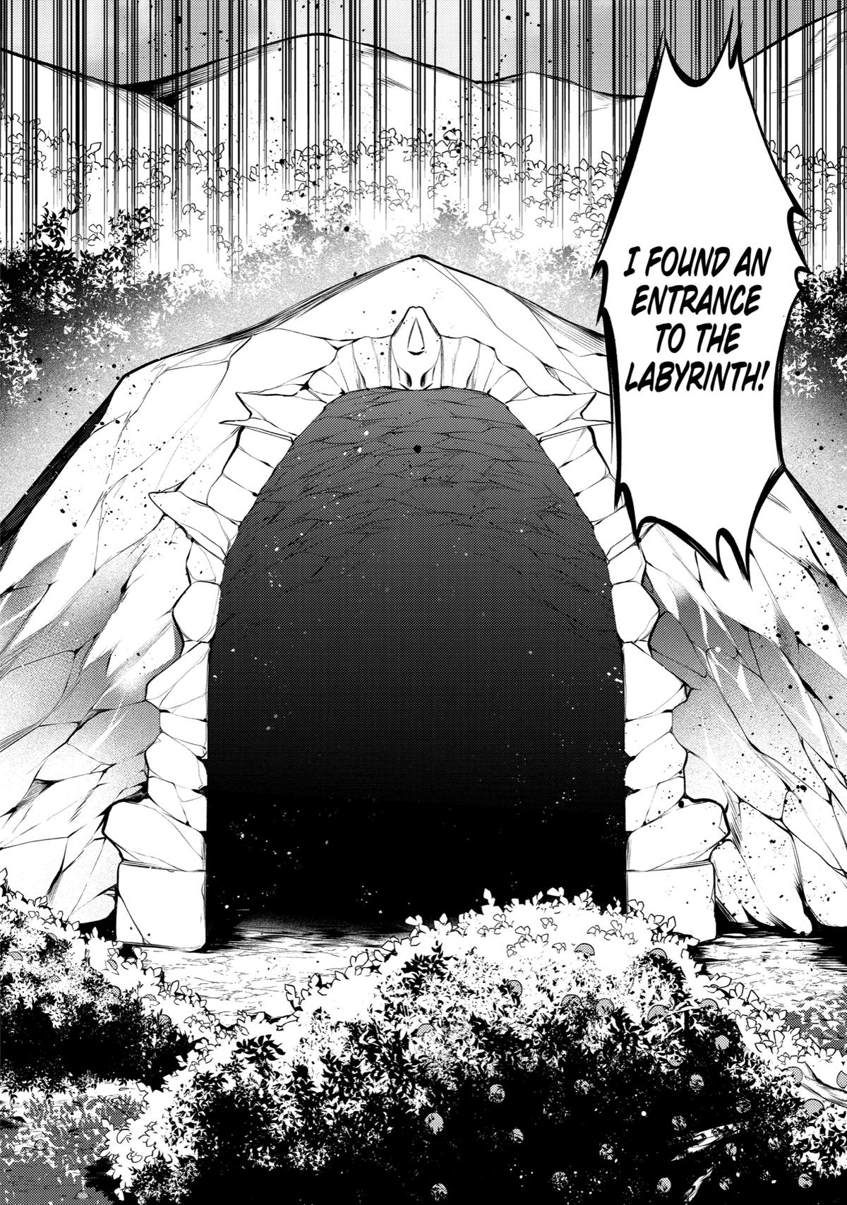 The Labyrinth Raids of the Ultimate Tank ~The Tank Possessing a Rare 9,999 Endurance Skill was Expelled from the Hero Party~ Chapter 7 40